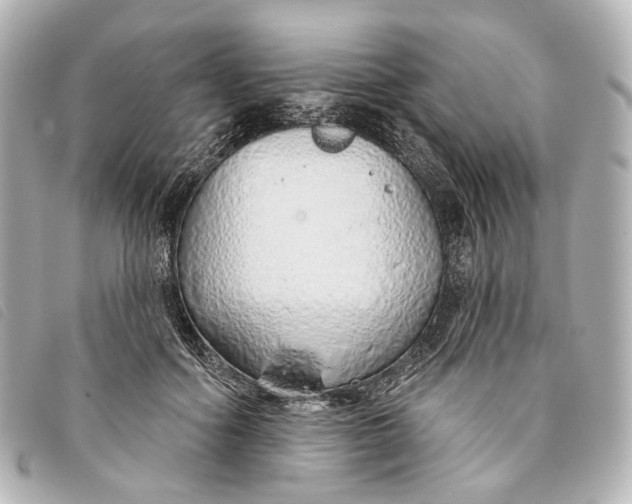 X0000093360602200710251133