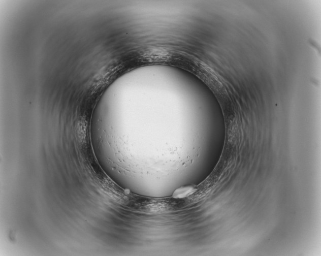 X0000093360604200710251133