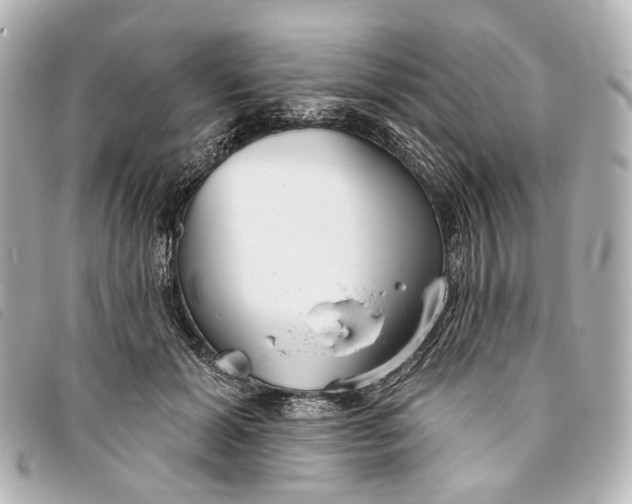 X0000093360605200710251133