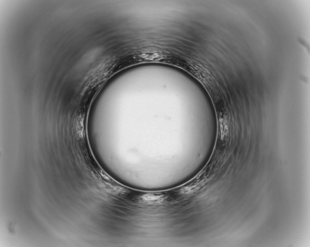 X0000093360606200710251133