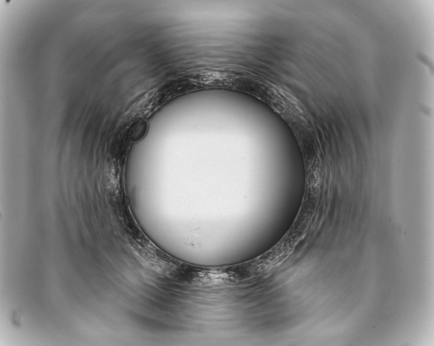 X0000093360607200710251133