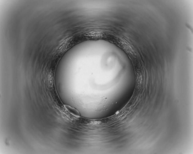 X0000093360609200710251132