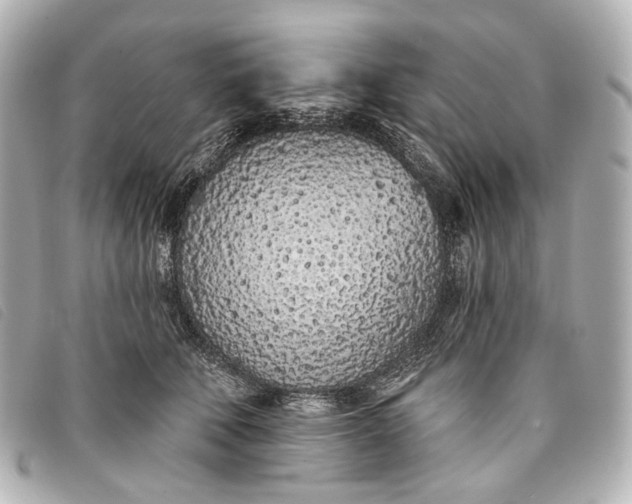 X0000093360610200710251132