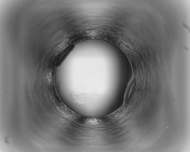 X0000093360611200710251132
