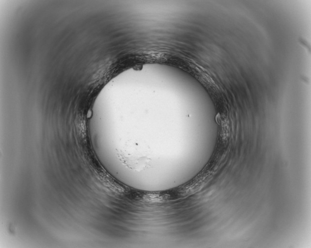 X0000093360613200710251132