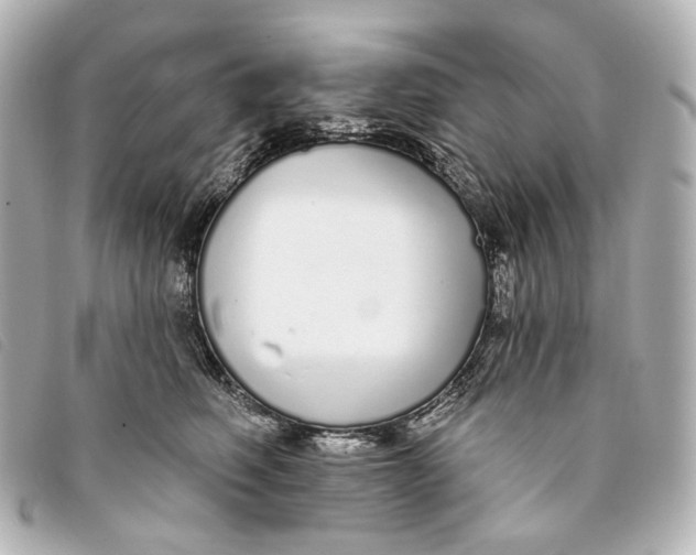 X0000093360614200710251132