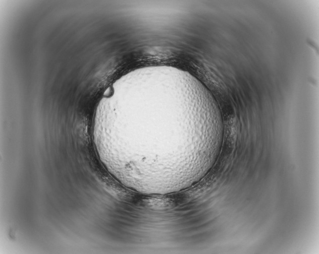 X0000093360615200710251132