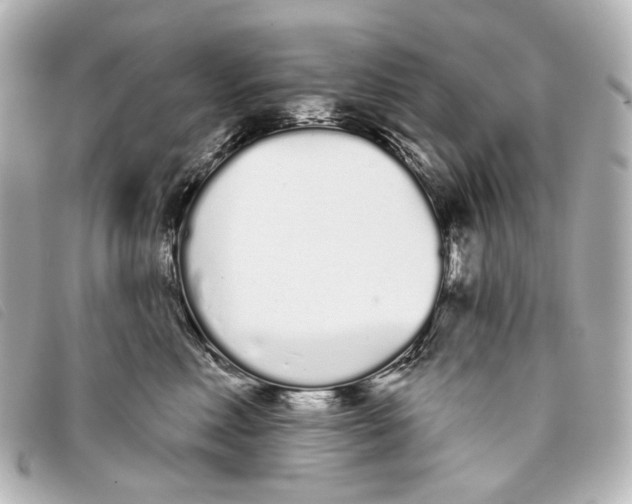 X0000093360618200710251132