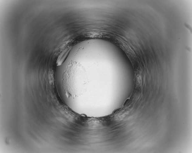 X0000093360620200710251132