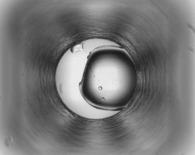 X0000093360621200710251132