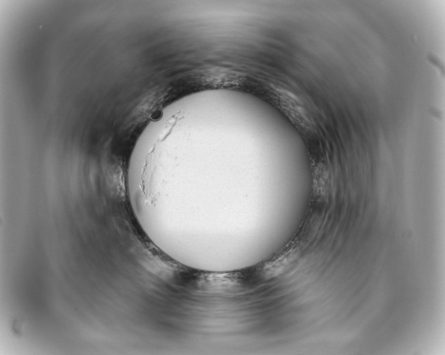 X0000093360622200710251132