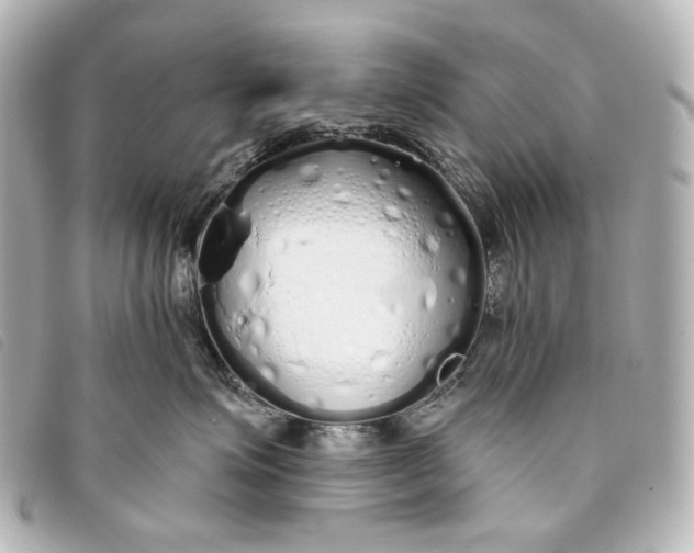 X0000093360623200710251132