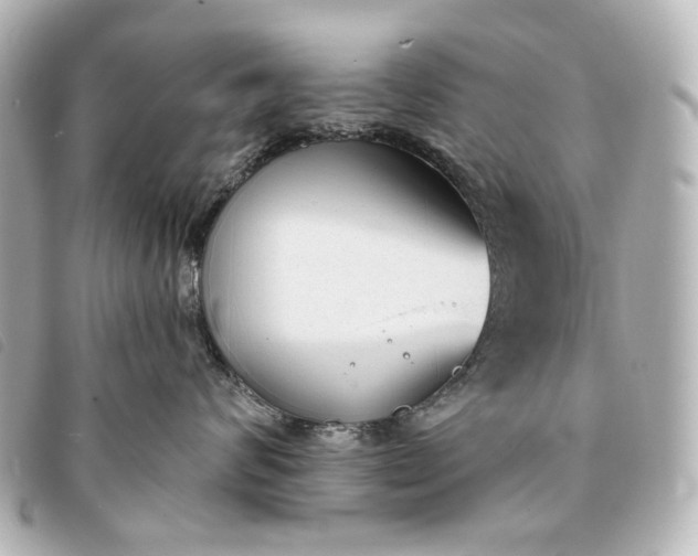 X0000093360624200710251132