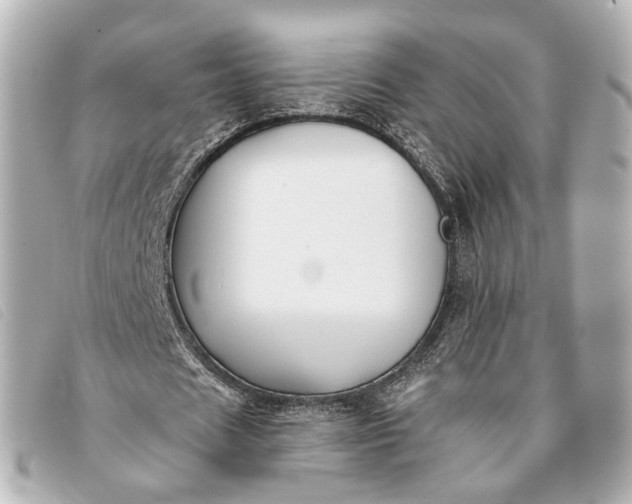 X0000093360625200710251132