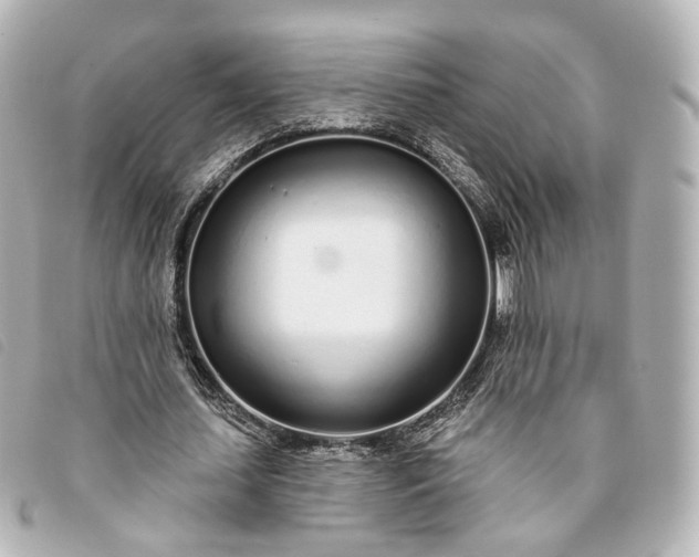 X0000093360627200710251132