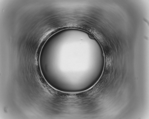 X0000093360628200710251132