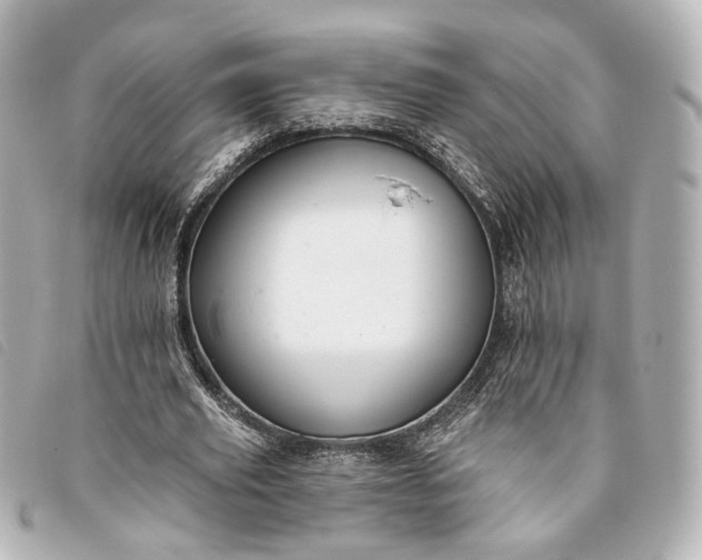 X0000093360629200710251132