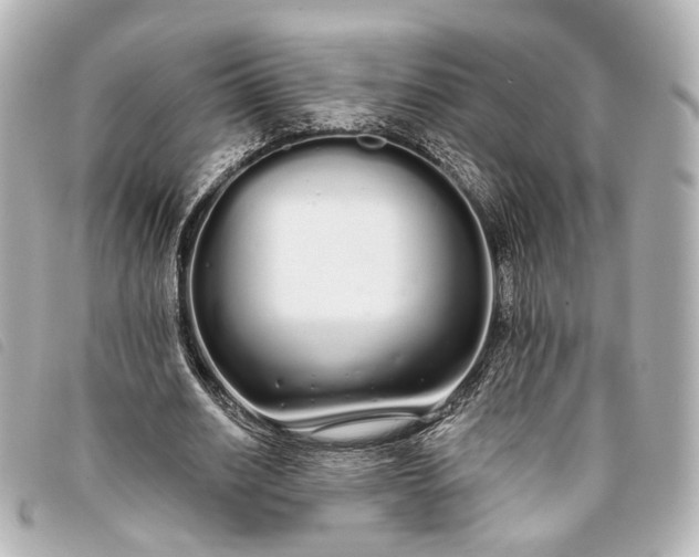 X0000093360630200710251132