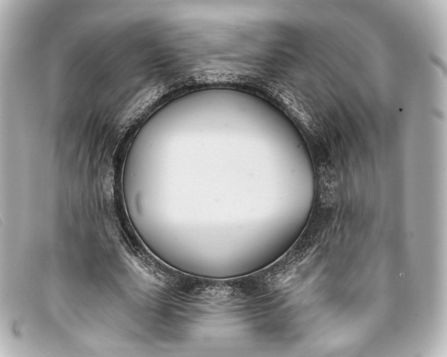 X0000093360631200710251132