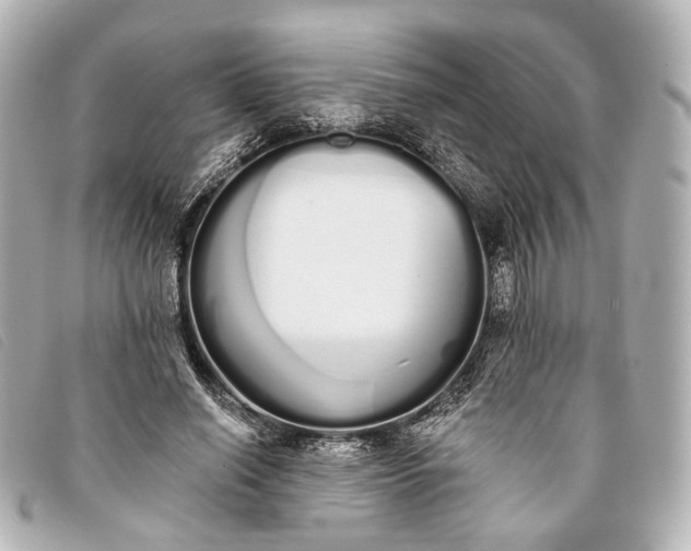 X0000093360638200710251132