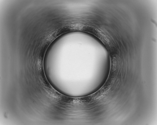 X0000093360641200710251132