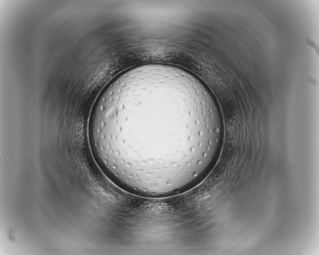 X0000093360642200710251132