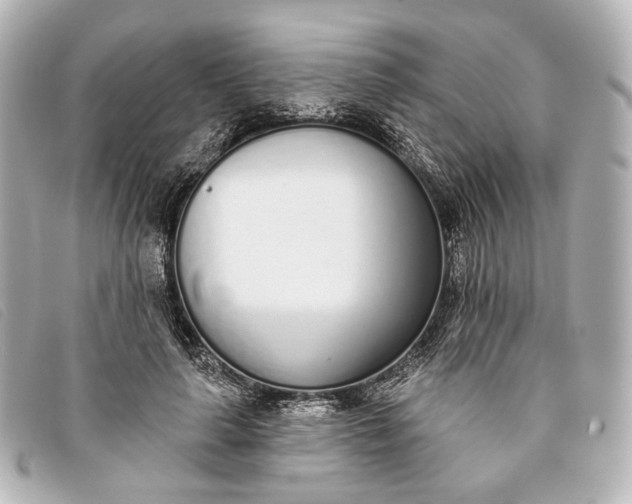 X0000093360643200710251132