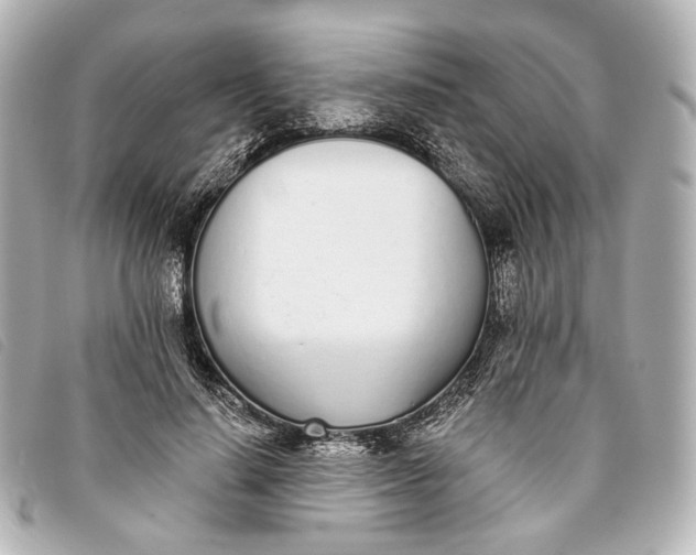 X0000093360644200710251132