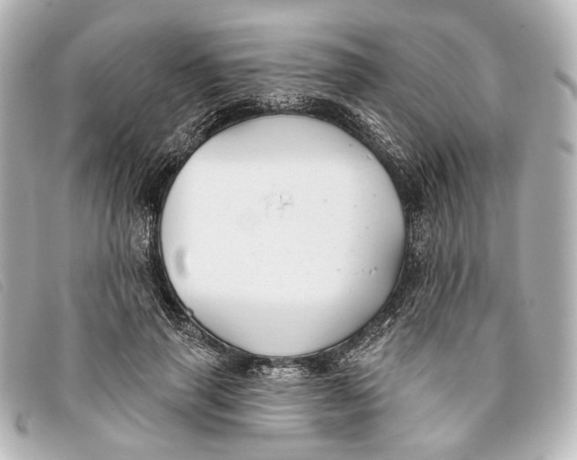 X0000093360645200710251132