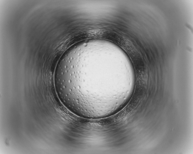 X0000093360649200710251132