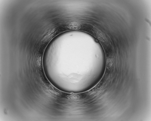 X0000093360652200710251132