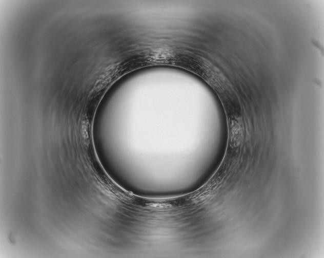 X0000093360654200710251132