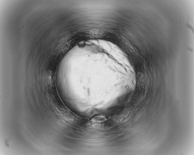 X0000093360655200710251132