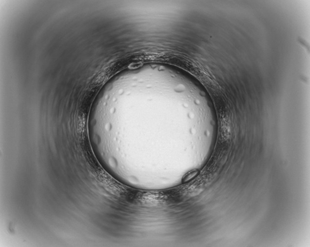 X0000093360657200710251132