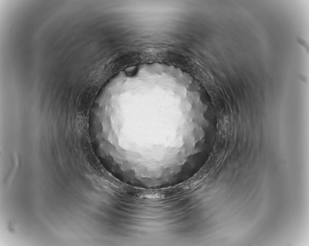 X0000093360659200710251132