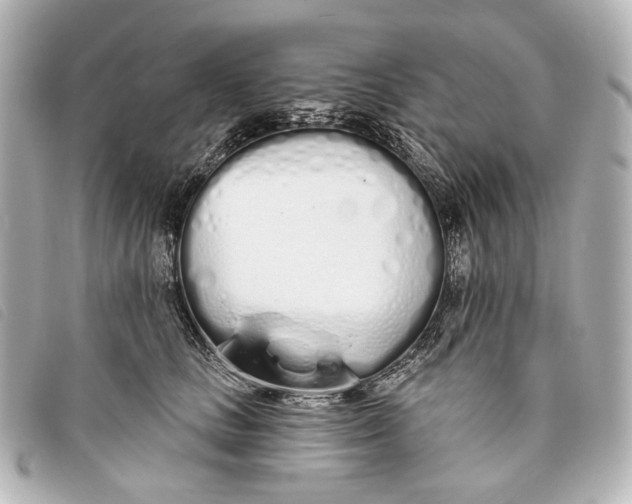 X0000093360661200710251132