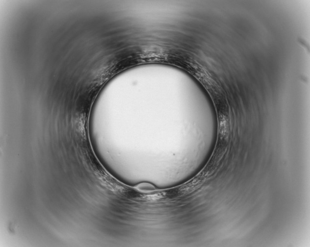 X0000093360662200710251132