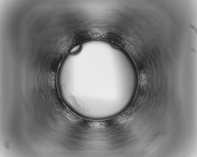 X0000093360664200710251132