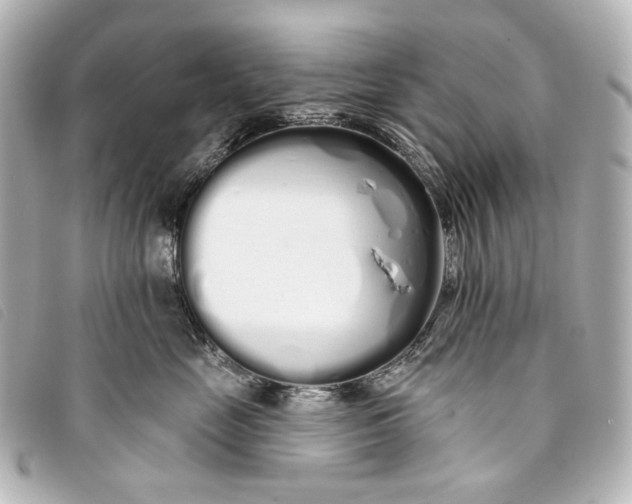 X0000093360669200710251132