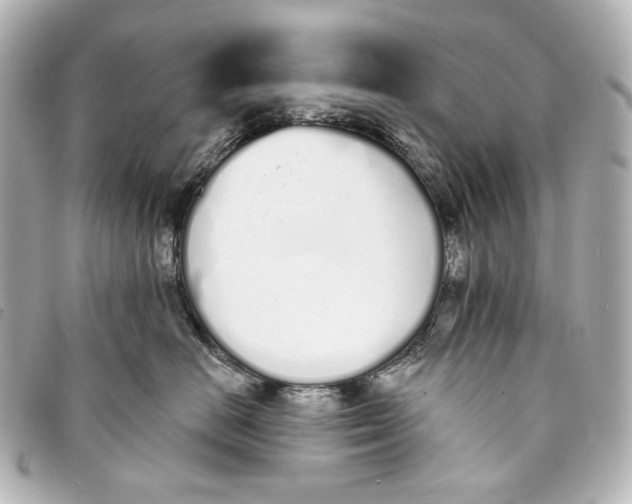 X0000093360670200710251132
