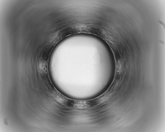 X0000093360671200710251132