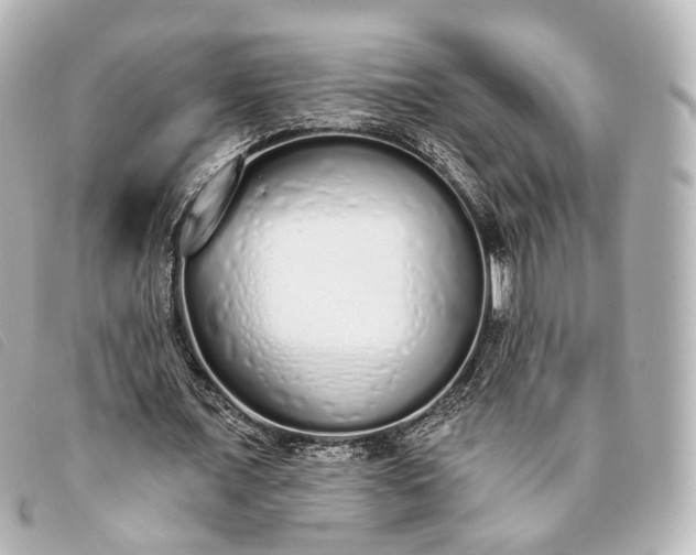 X0000093360675200710251132
