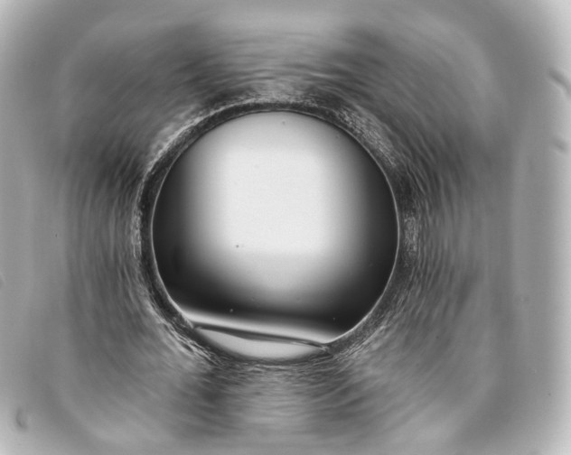 X0000093360676200710251132