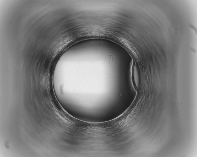 X0000093360677200710251132