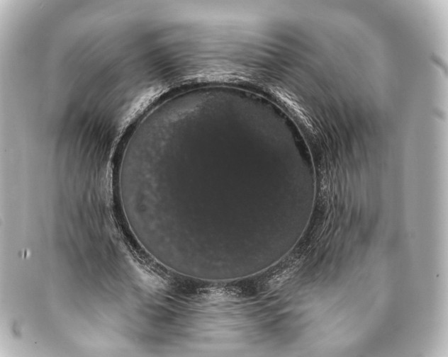 X0000093360678200710251132