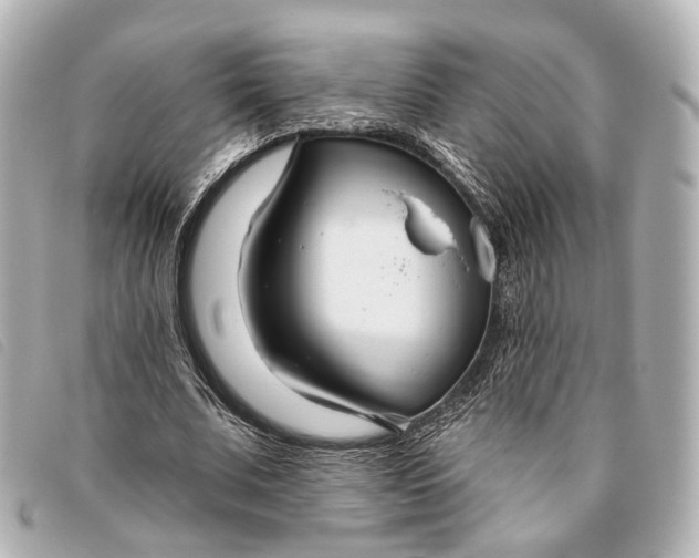 X0000093360679200710251132