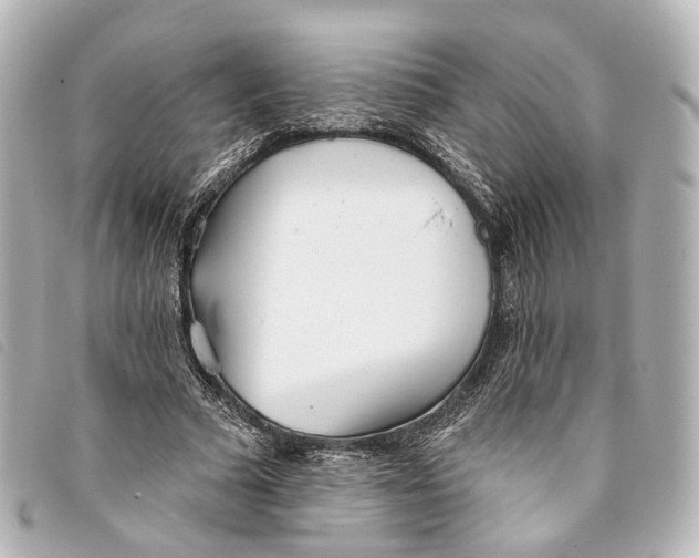 X0000093360681200710251131