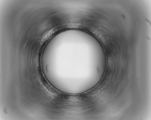 X0000093360682200710251131