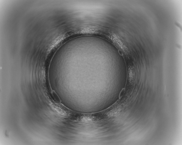 X0000093360684200710251131