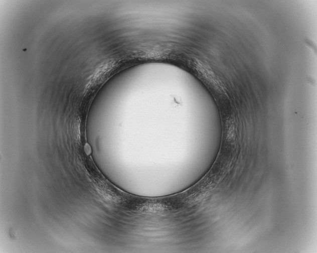 X0000093360685200710251131